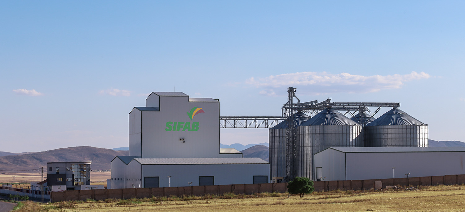 algeria plant