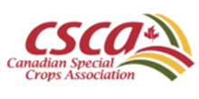 logo-2
